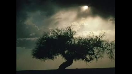Sonata Arctica --- Draw Me