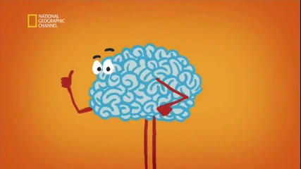 National Geographic-brain Games Следвай водача