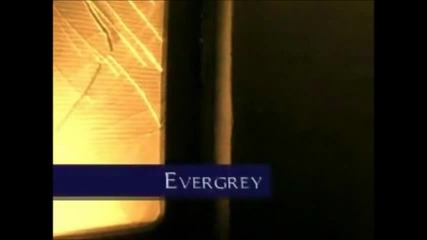 Evergrey&carina - For every tear that falls - превод