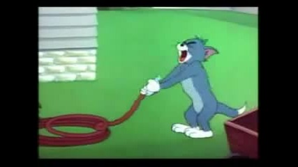 Tom And Jerry (bg Parody) 