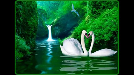 The river of love ... ...