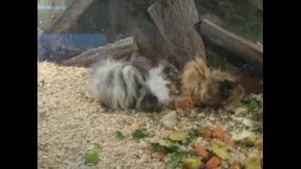 Zoo Park Sofia