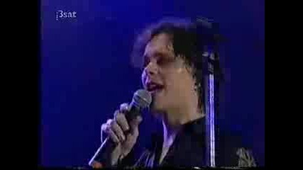 Him - New Pop 5