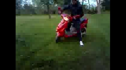aprilia
