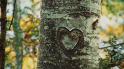 Neil Sedaka - You
