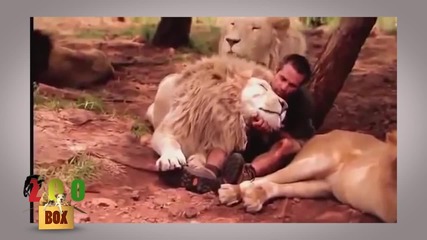 Невероятно! Силни и красиви приятелства между хора и диви животни!