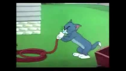 Tom & Jerry