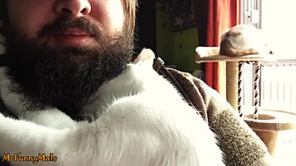Котки влюбени в брадите на собствениците си!