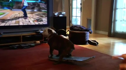 Куче играе видео игра със скейтборд