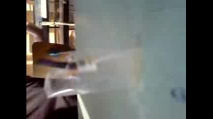 слонче пикае