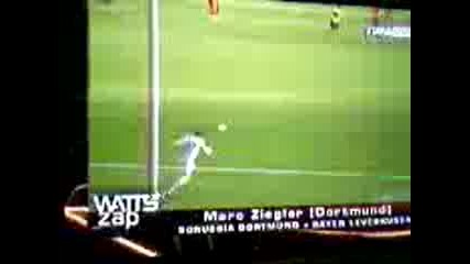 Watts Zap