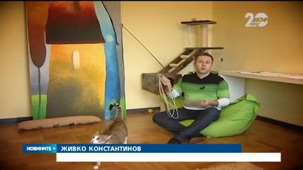Най-новата мания в интернет - котка в кръг