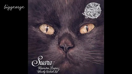 Ramiro Lopez - Fine ( Original Mix )