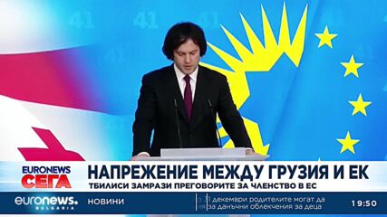 Грузия спира преговорите за членство в ЕС до 2028 г.