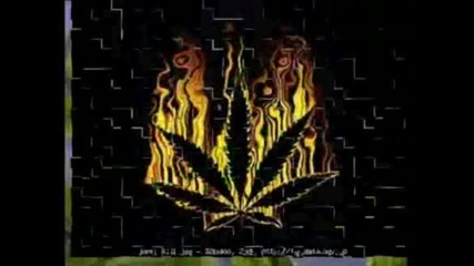 Joint - Снимки