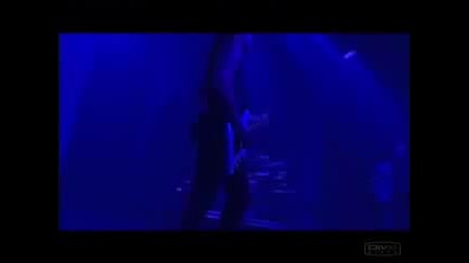 Grave Digger - Desert Rose