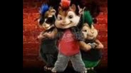 катеричките Dogs Unleashed