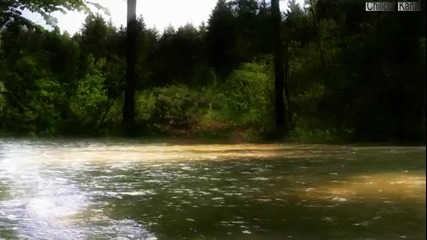 Natur und Wald Impressionen 
