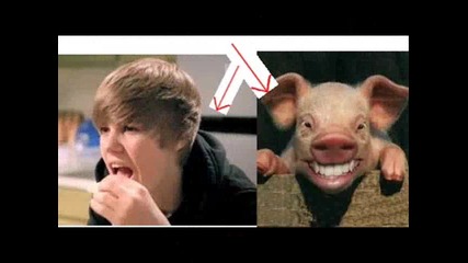 Разликите На Justin Bieber (собствен
