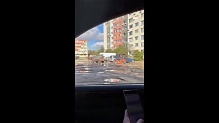 Кон дърпа мотокар в София
