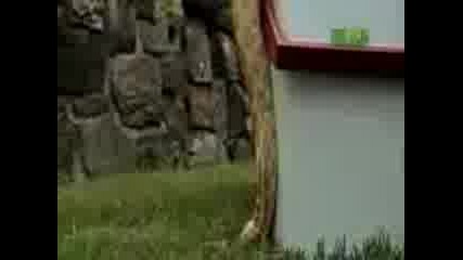 Двуглава Змия 