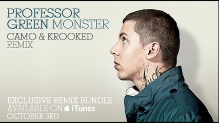 Professor Green - Monster (camo & Krooked remix)