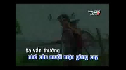 Vi Dau Qua Cau Dap Xe