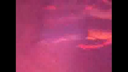 Яко копонче
