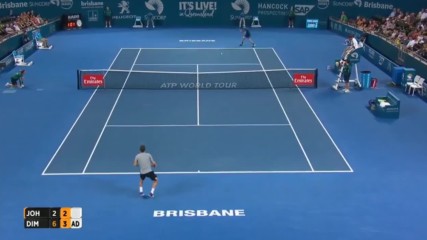 Steve Johnson vs Grigor Dimitrov - Brisbane International 2017 Highlights
