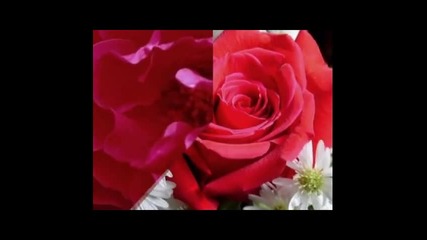 Алла Пугачова - Милион червени рози