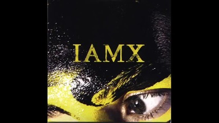Iamx - Nightlife(brad Walsh Remix)