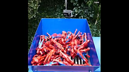 Машинката е сериозна някой хора са само бледа сянка !