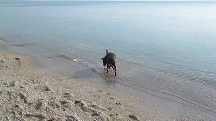 Езра на плажа
