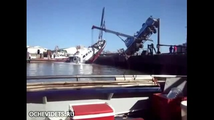 Ела да поплувамееее..