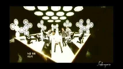 [shinee] Stranger - Comeback Stage Compilation