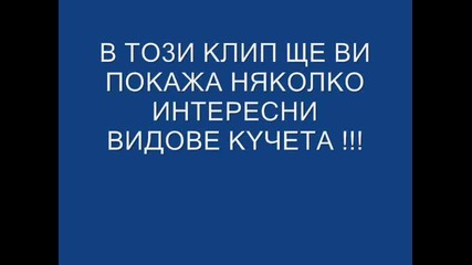 Яки кучета