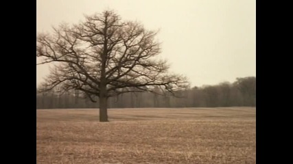 The Tragically Hip - Ahead By A Century [ високо качество ]
