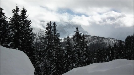 Che Neve