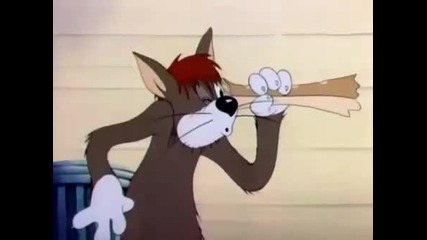 Tom e Jerry episodio 9 (4 in Italia)