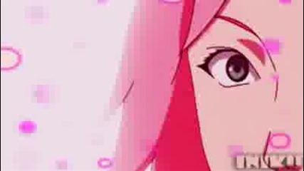 - - Everyone Love Sakura - chan - - - 