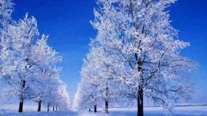 Beautiful snow scene