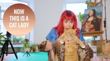 How to 'cat lady' your life: Extreme edition