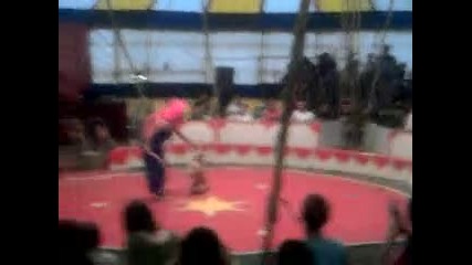 Circus