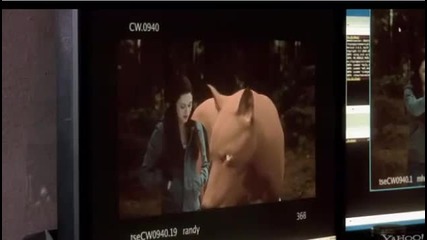 Bella and the wolf Dvd Eclipse