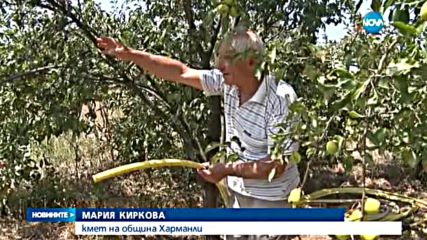 ГОРСКИ ПОЖАР: Огънят унищожи над 2000 декара в Сакар