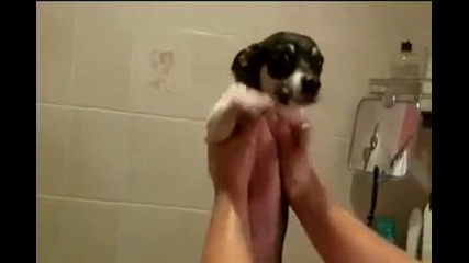 още плува ;) ..по инерция :)