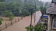 "Моята новина": Потоп в Берковица