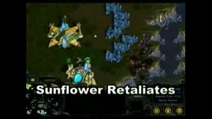 Starcraft - Мач