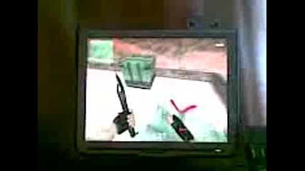 Bugove