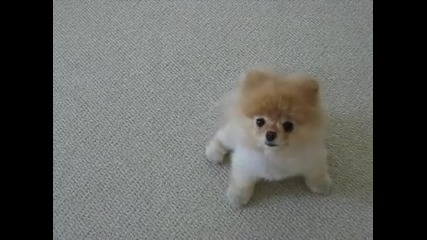 Boo-hello